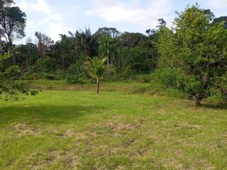  Terrain � vendre 10000 m�