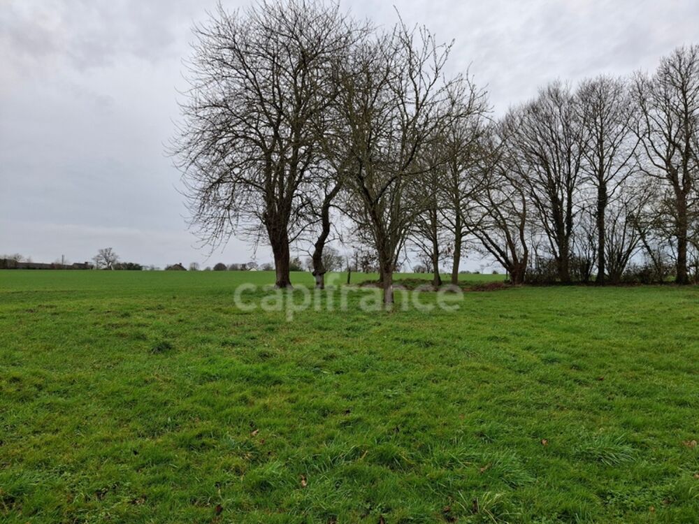 Vente Maison Maison à vendre 5 pièces  (50) Vessey