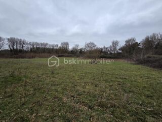 Vente Terrain Terrain non constructible Blanzay