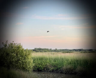  Maison � vendre 5 pi�ces 97 m�