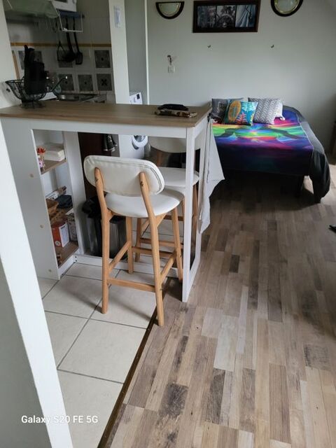   Studio de 22m2 à louer sur La Roche-Posay Appartement - 1 pièce(s) - 22 m²