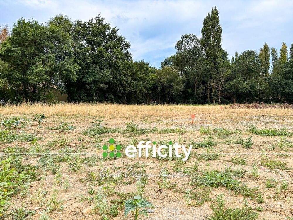 Vente Terrain Terrain Saint lumine de coutais
