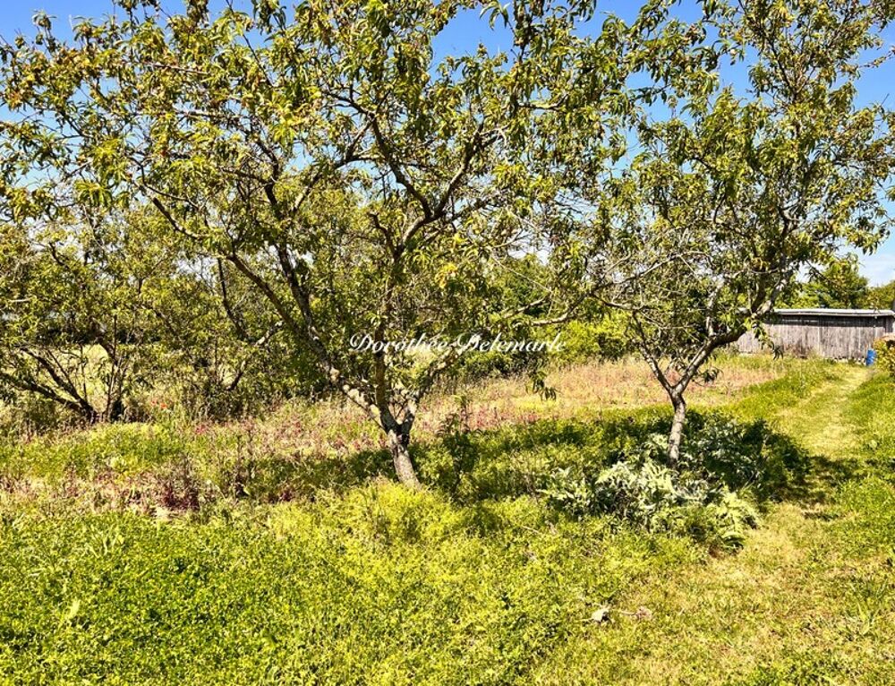 Vente Terrain Terrain à vendre  SAINT MARD (17)Grand terrain constructible de 2075 m² – Environnement calme avec arbres fruitier Saint mard