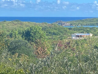  Terrain  vendre 1835 m