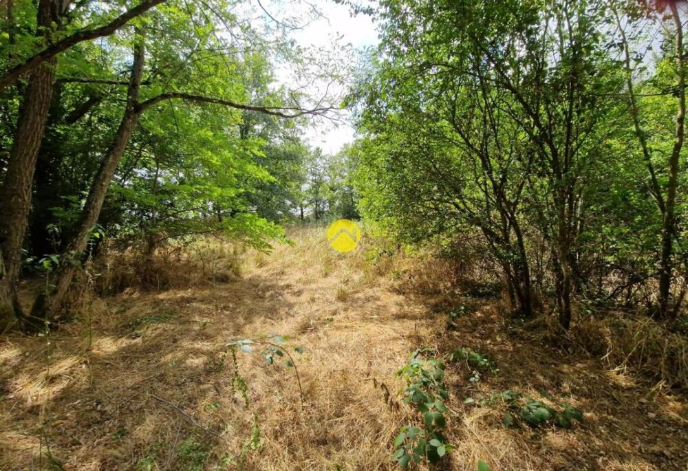 Vente Terrain Terrain constructible de 2505 m² La guerche sur l aubois
