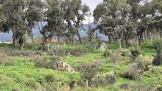  Terrain � vendre 56090 m�