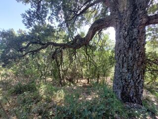  Terrain � vendre 2366 m�