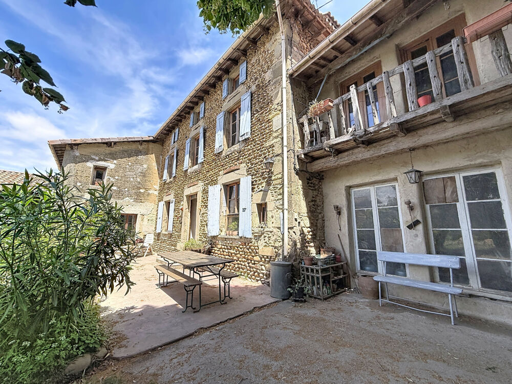 Grande maison de caractère - 356 m² sur terrain de 28 000m2 - Albon