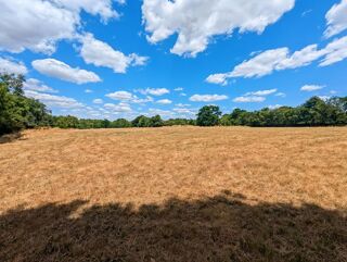  Maison  vendre 8 pices 253 m