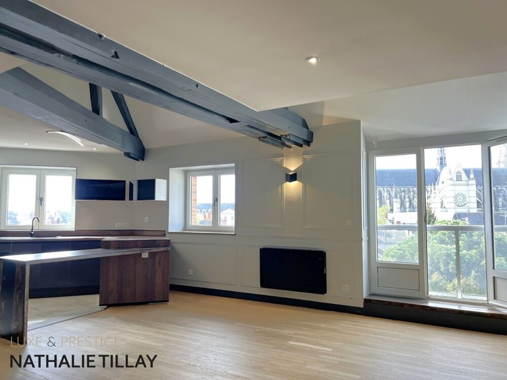 Orleans, appartement Loft duplex de 130 m² à vendre, ascenseur, garage,Vue cathédrale exceptionnelle