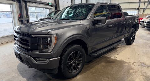 Ford Divers LARIAT V8 5,0L FLEX FUEL 2022 occasion Bordeaux 33300