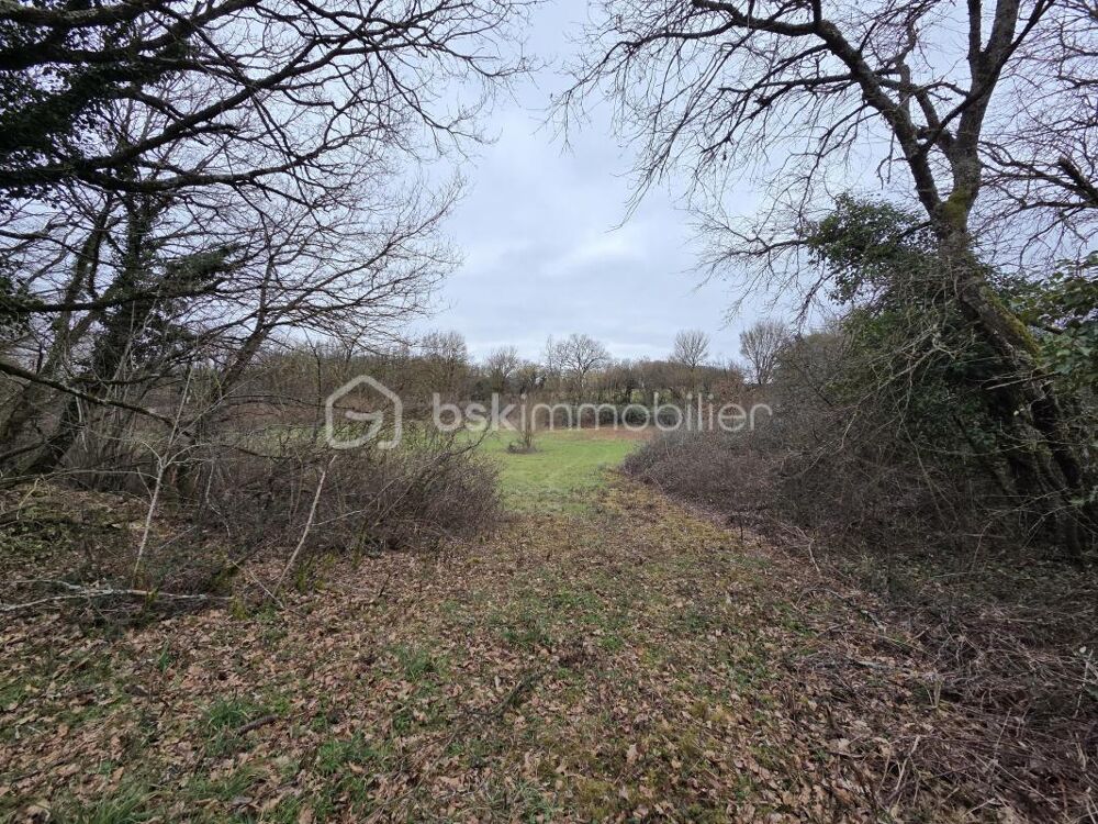 Vente Terrain Terrain non constructible Blanzay