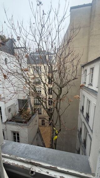  Appartement � louer 1 pi�ce 10 m�