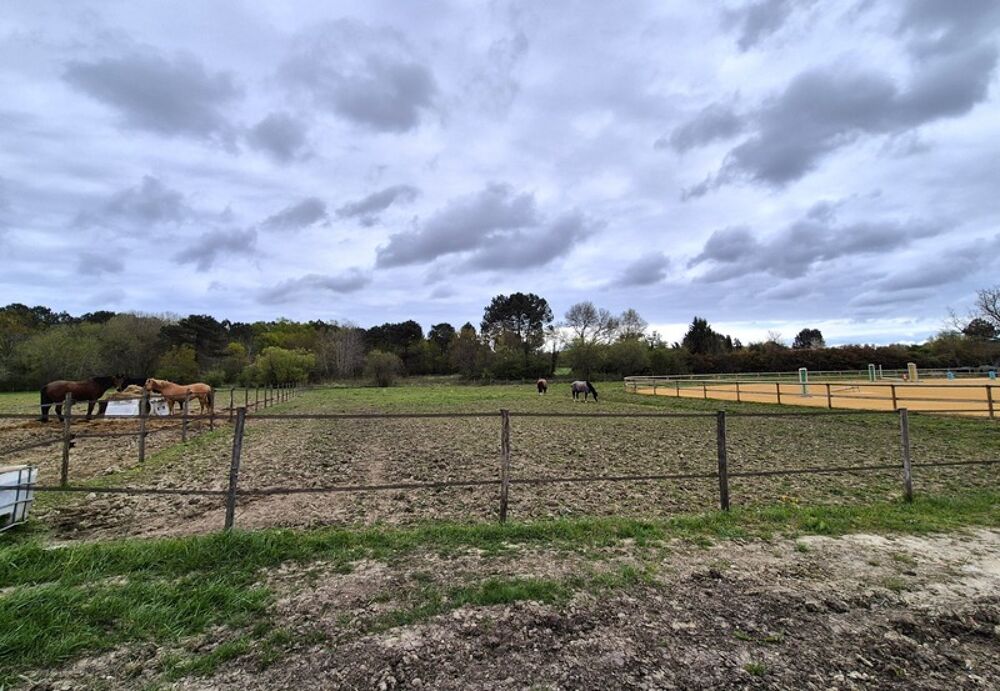 � vendre  Maison Berson (33390)