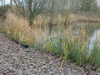  Terrain � vendre 3141 m� Lille