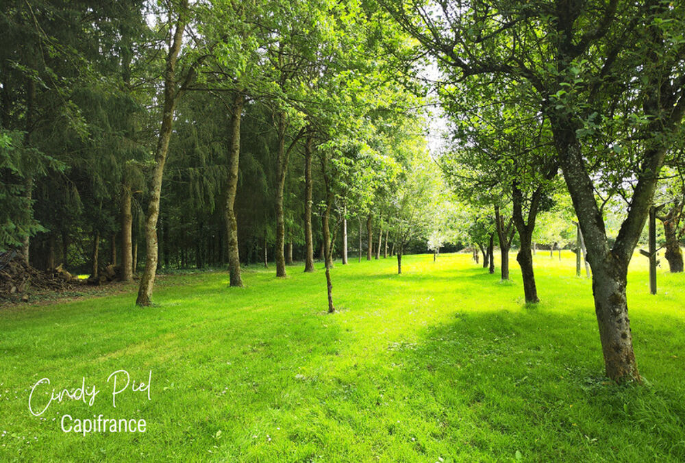 � vendre  Propri�t�/ch�teau Quelneuc (56910)