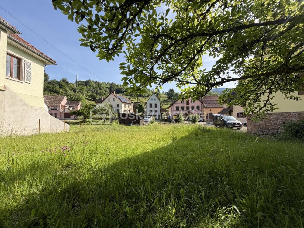 Mieux quun appartement! maison avec petit jardin