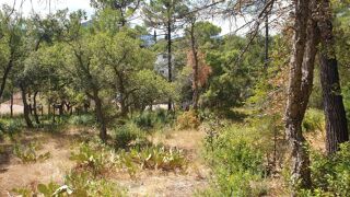  Terrain  vendre 2656 m