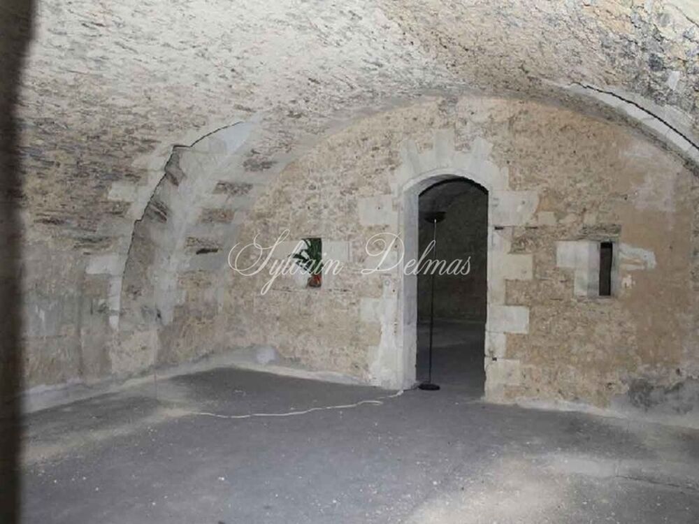 à vendre  Propriété/château Angers (49000)