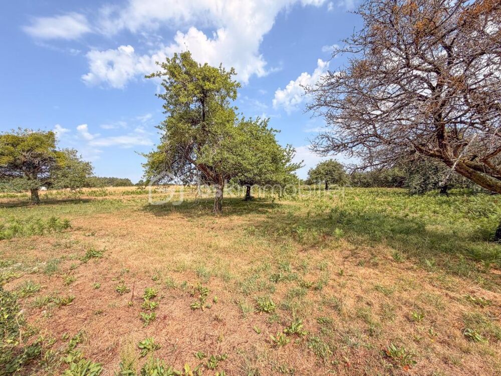à vendre  Propriété/château Landévant (56690)
