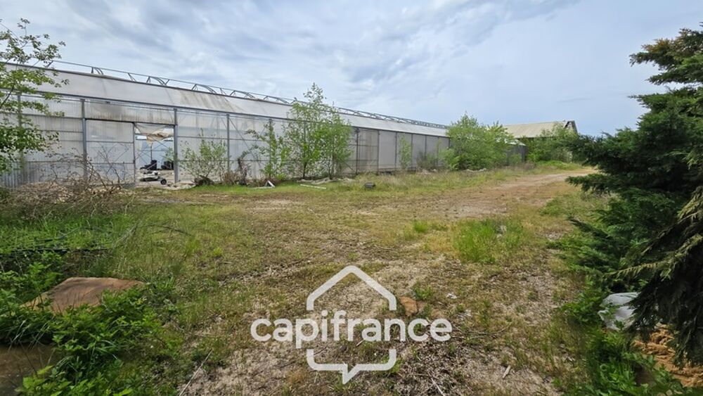 Vente Terrain VENTE TERRAIN 24 893 M²  (71) Gergy