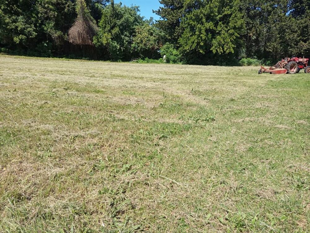 Vente Terrain Terrain plat constructible de 1834m² à Donzère 125 500 HAI Donzere