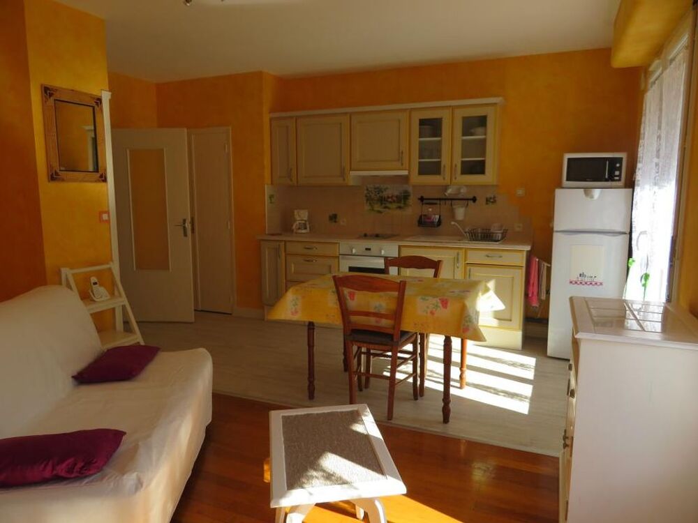 Location Appartement Appartement de 33m2 à louer sur Villeurbanne Villeurbanne