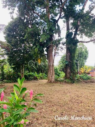  Terrain � vendre 738 m�