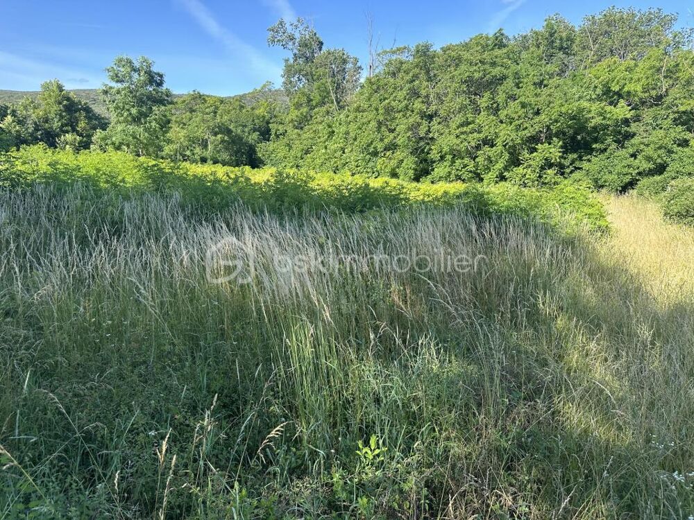 Vente Terrain Magnifique terrain de 3955 m2 dont 1400 m2 constructible Saint montan