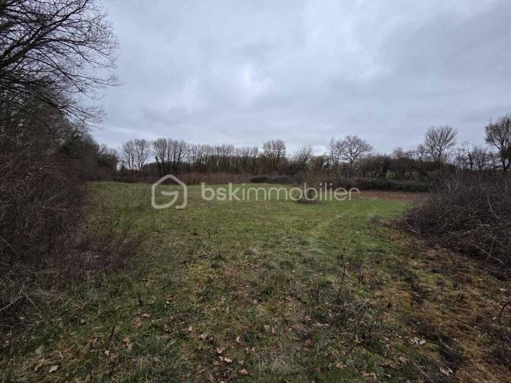 Vente Terrain Terrain non constructible Blanzay