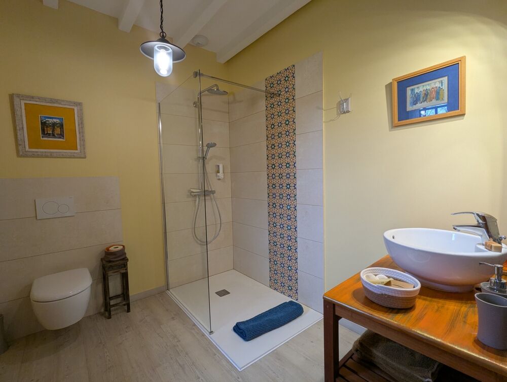à vendre  Propriété/château Fénols (81600)