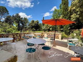  Propriété/château à vendre 12 pièces 303 m²