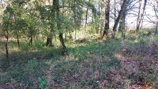  Terrain � vendre 1255 m�