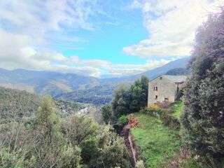 Vente Maison Maison en pierre 7 pièces, 120 m2 + caves, à rénover entièrement à PIE D'OREZZA, Campodonico (HAUTE CORSE) Pie d orezza