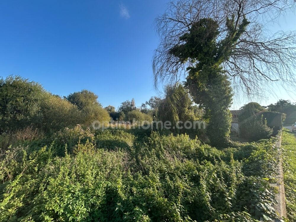 Vente Terrain Terrain constructible avec permis purgé à vendre de 2500 m² SAINT GEORGES D'OLERON (17) Saint georges d oleron