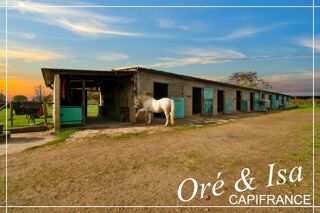  Propri�t�/ch�teau � vendre 7 pi�ces 237 m�