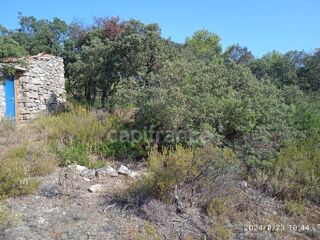  Terrain à vendre 30000 m²