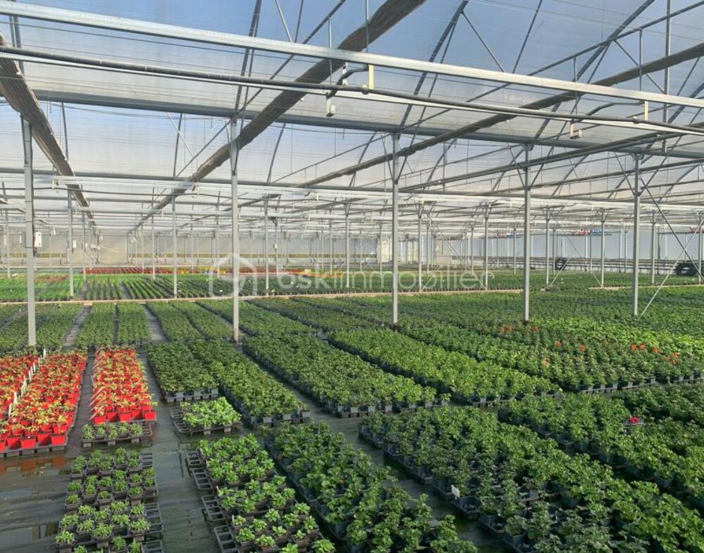 Vente Propriété/Château Proche Nogaro - Propriété Horticole de 3ha avec habitation Saint martin d armagnac