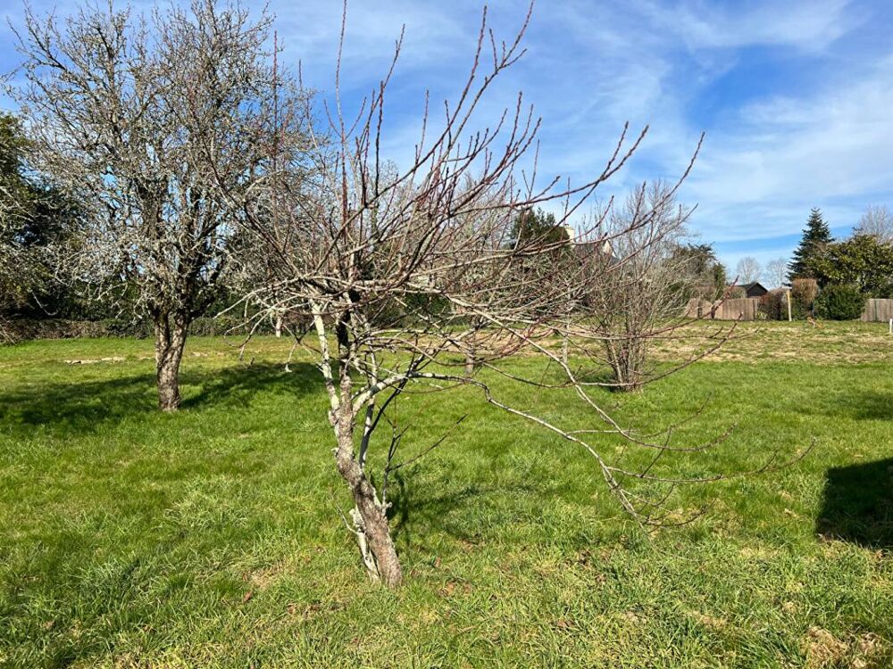 Vente Terrain Baden-Une adresse privilégiée pour construire votre projet au coeur du Golfe du Morbihan Baden