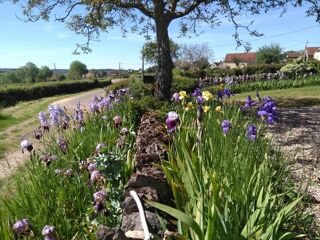  Maison � vendre 7 pi�ces 200 m�