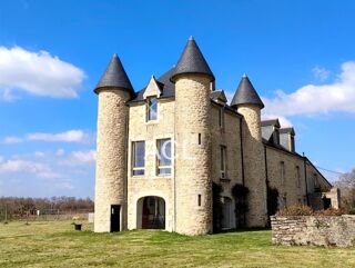  Propriété/château à vendre 11 pièces 360 m²