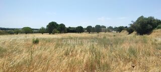  Terrain à vendre 7942 m²