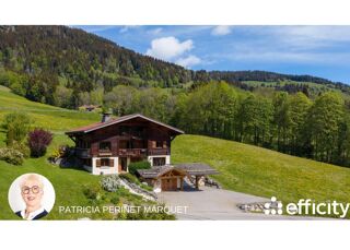  Chalet à vendre 12 pièces 243 m² Megeve