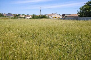  Terrain à vendre 785 m²