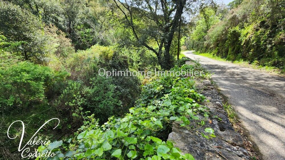 Vente Terrain Vente Terrain Collobrières (83610) – Parcelle Forestière de 4,1 Hectares avec Rivière Collobrieres