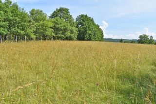 Vente Terrain Terrain  constructible 5580 m2 La Cassagne La cassagne