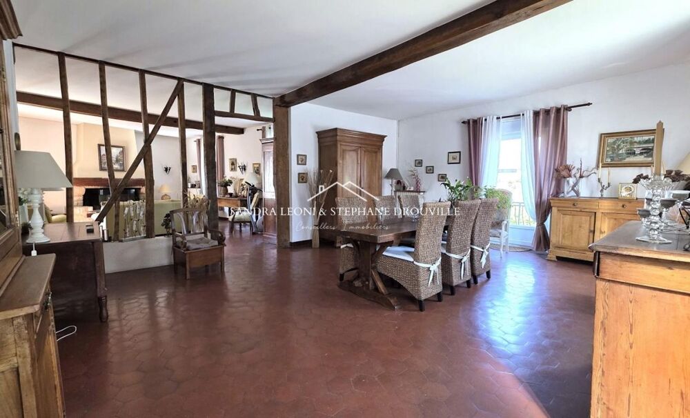 PROCHE CHARTRES - THIVARS - CHARMANTE MAISON DE VILLE de 295 m², 8 pièces