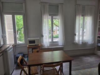  Appartement à louer 1 pièce 17 m²