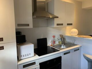  Appartement à louer 1 pièce 27 m²