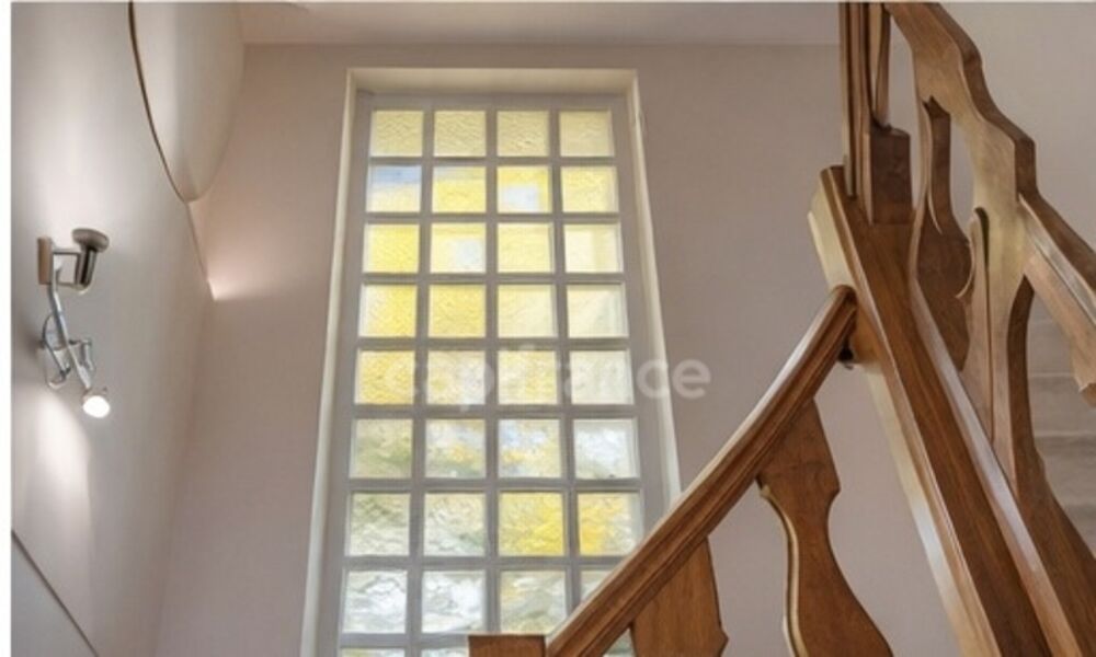 � vendre  Propri�t�/ch�teau Beynost (01700)